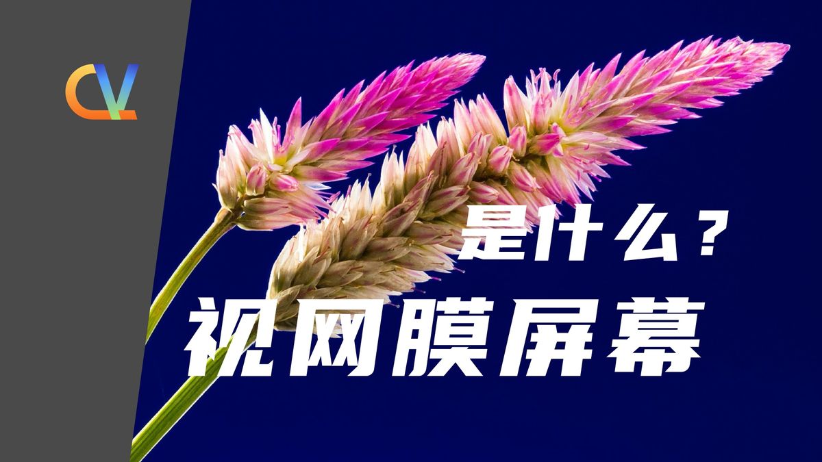 什么是视网膜屏