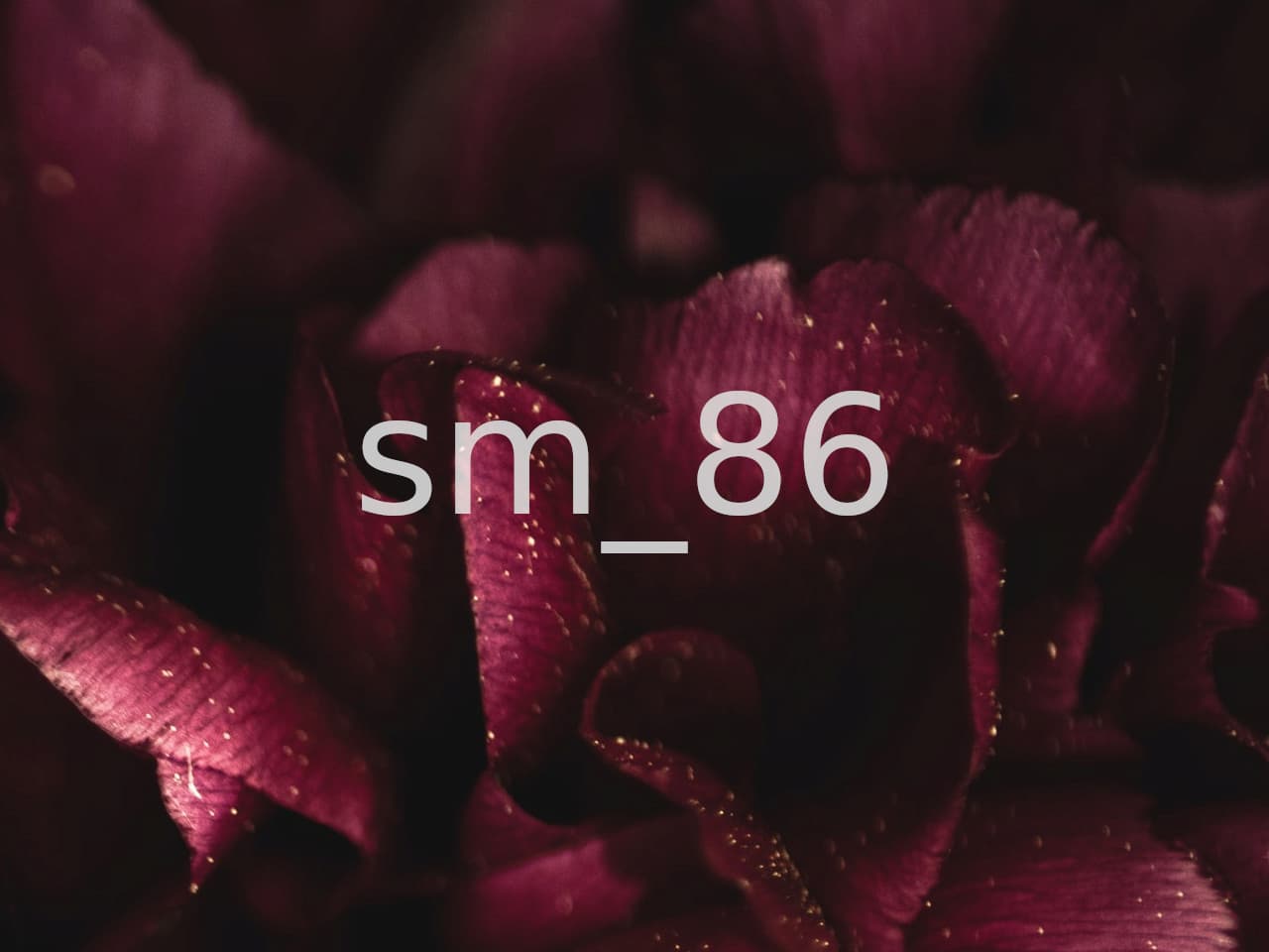 修复sm_86错误
