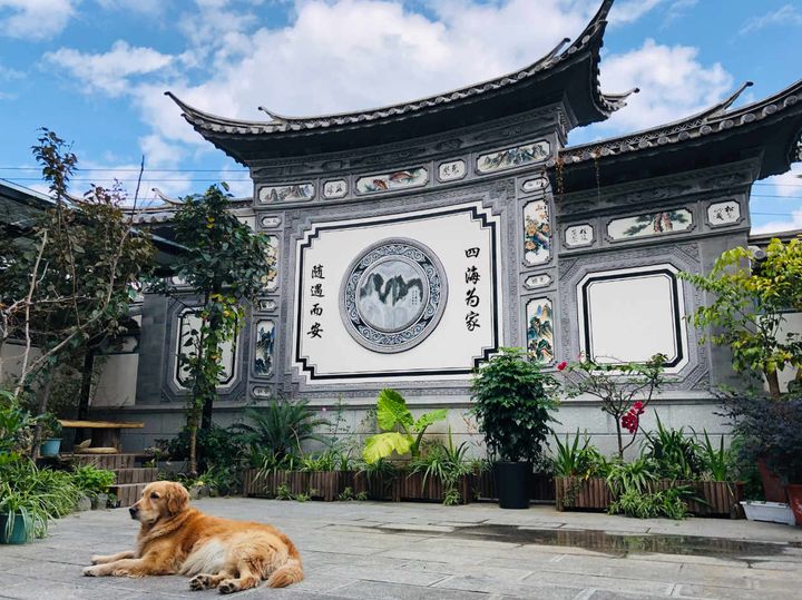 四海为家，随遇而安