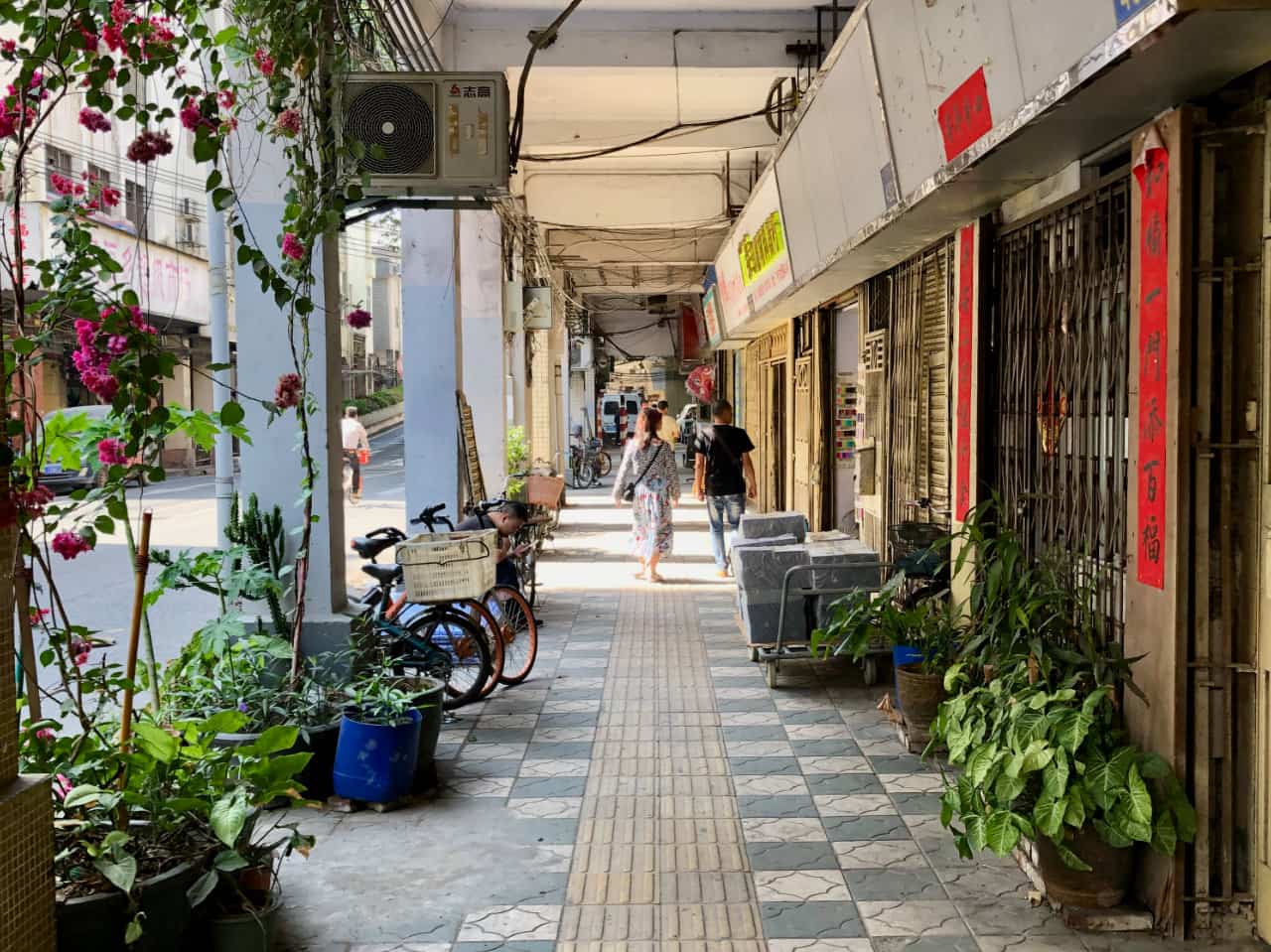 左手沙士右手豆豆