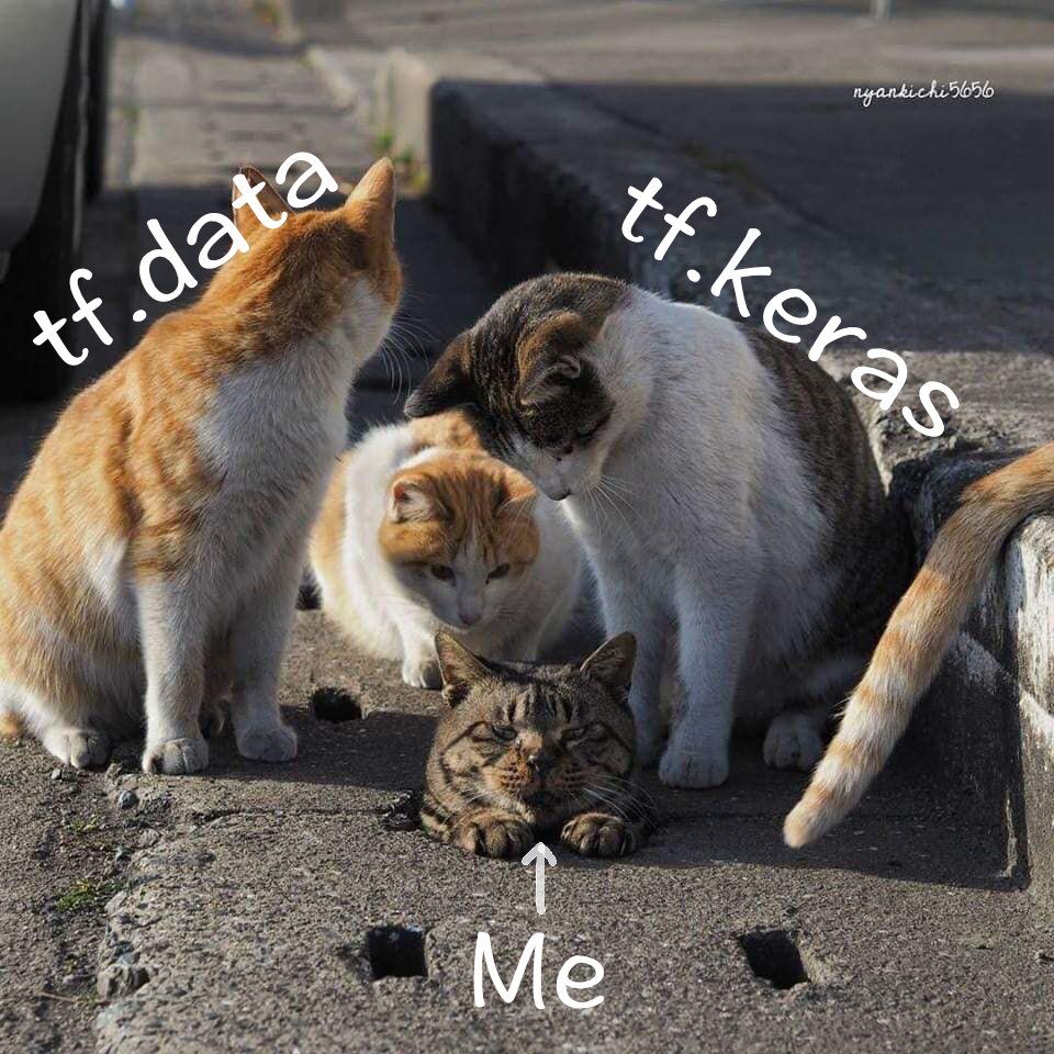 TensorFlow 2有哪些坑