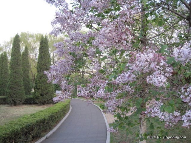 春 · 燕山大学